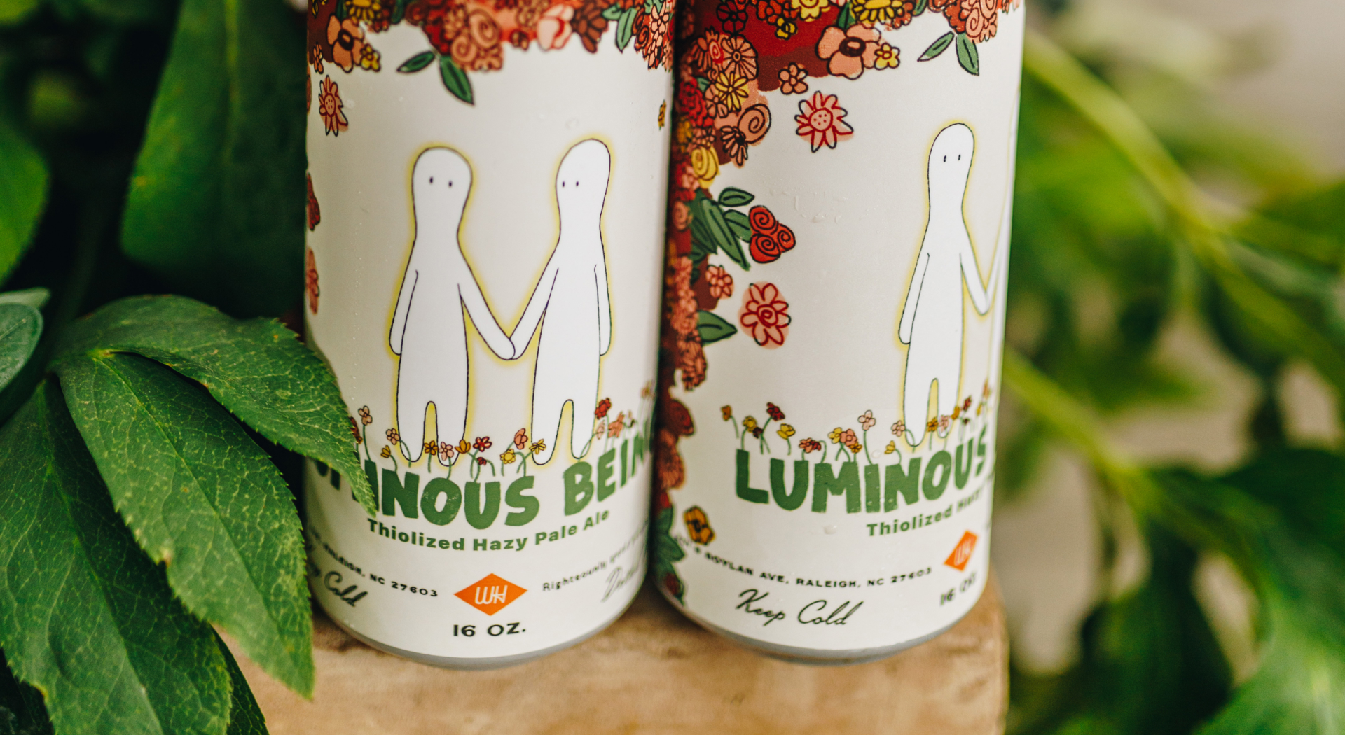 Cans of Luminous Beings by Wye Hill brewing sitting amongst foliage